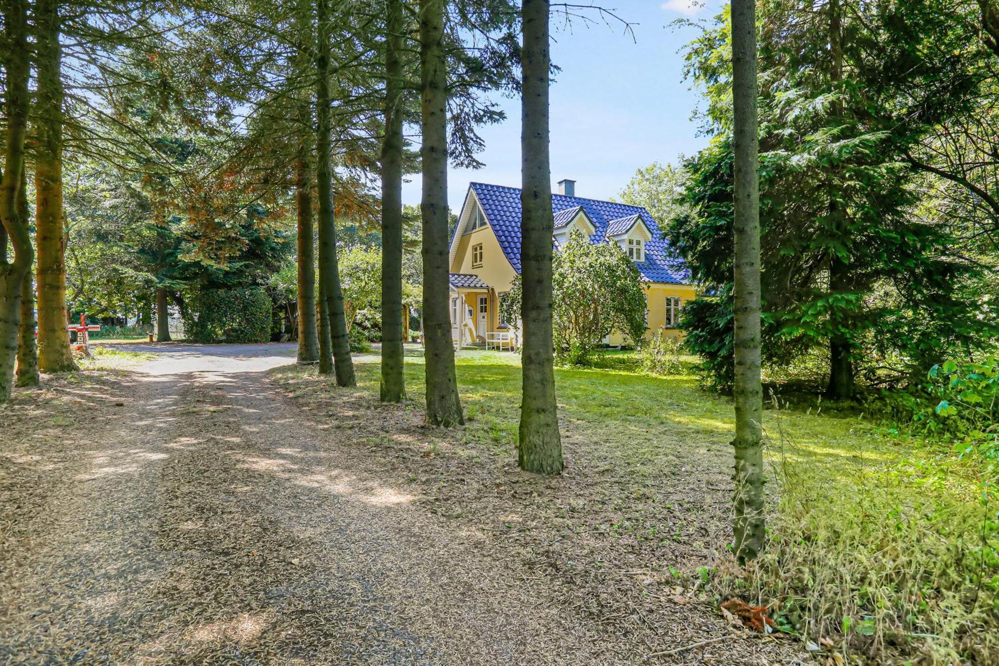 Hedehusene Katja B&B Roskilde Tutti Frutti Home المظهر الخارجي الصورة